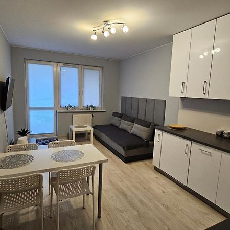 Jedenastka Apartman Płock Kültér fotó