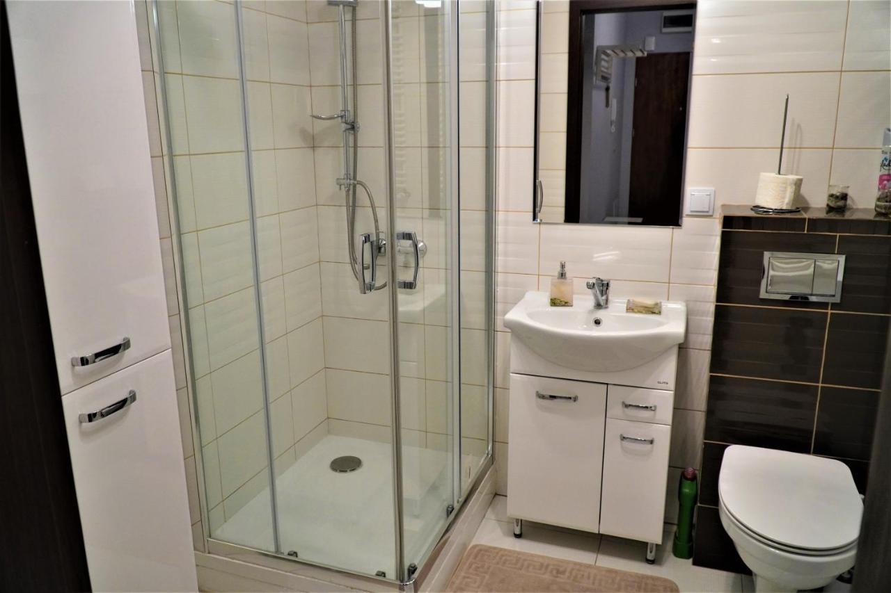 Jedenastka Apartman Płock Kültér fotó