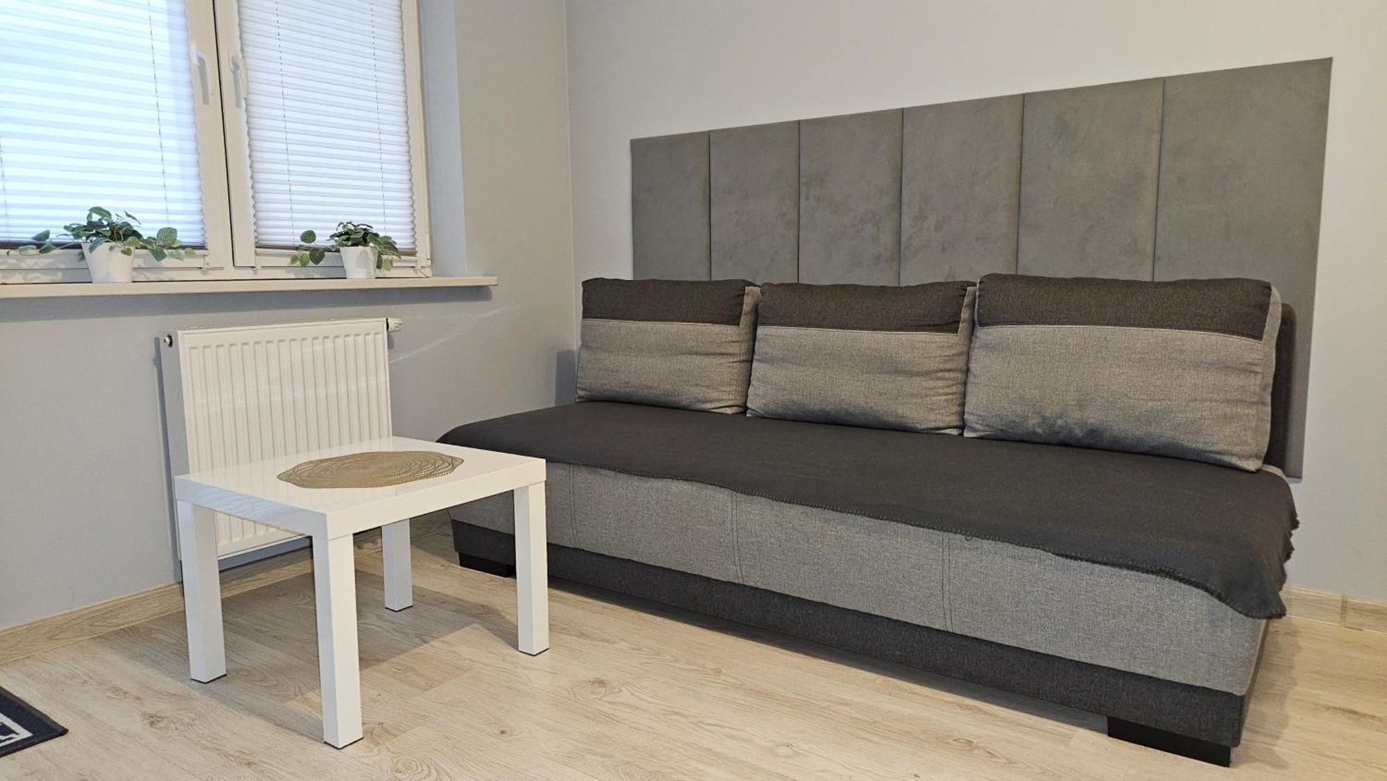 Jedenastka Apartman Płock Kültér fotó
