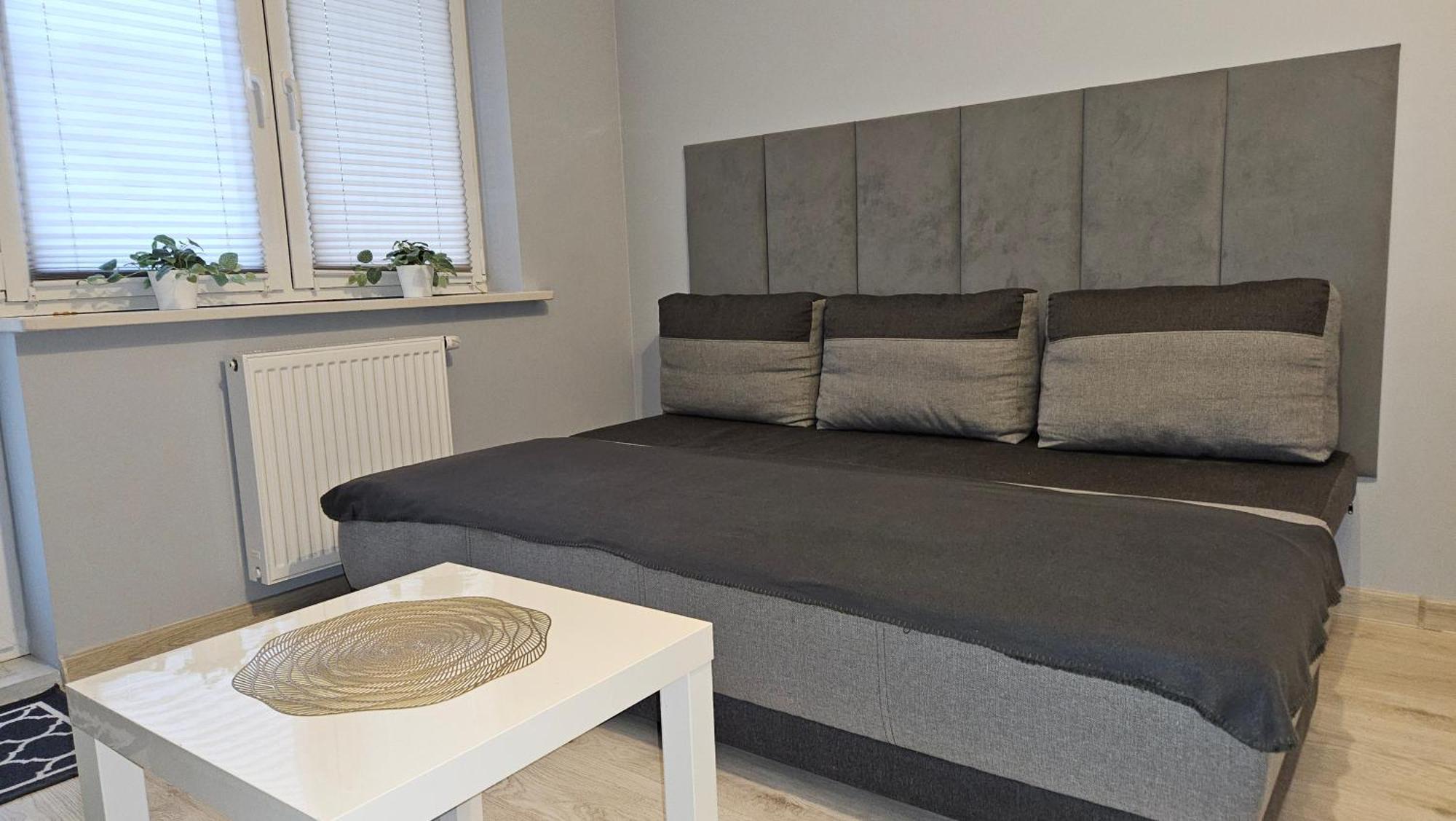 Jedenastka Apartman Płock Kültér fotó