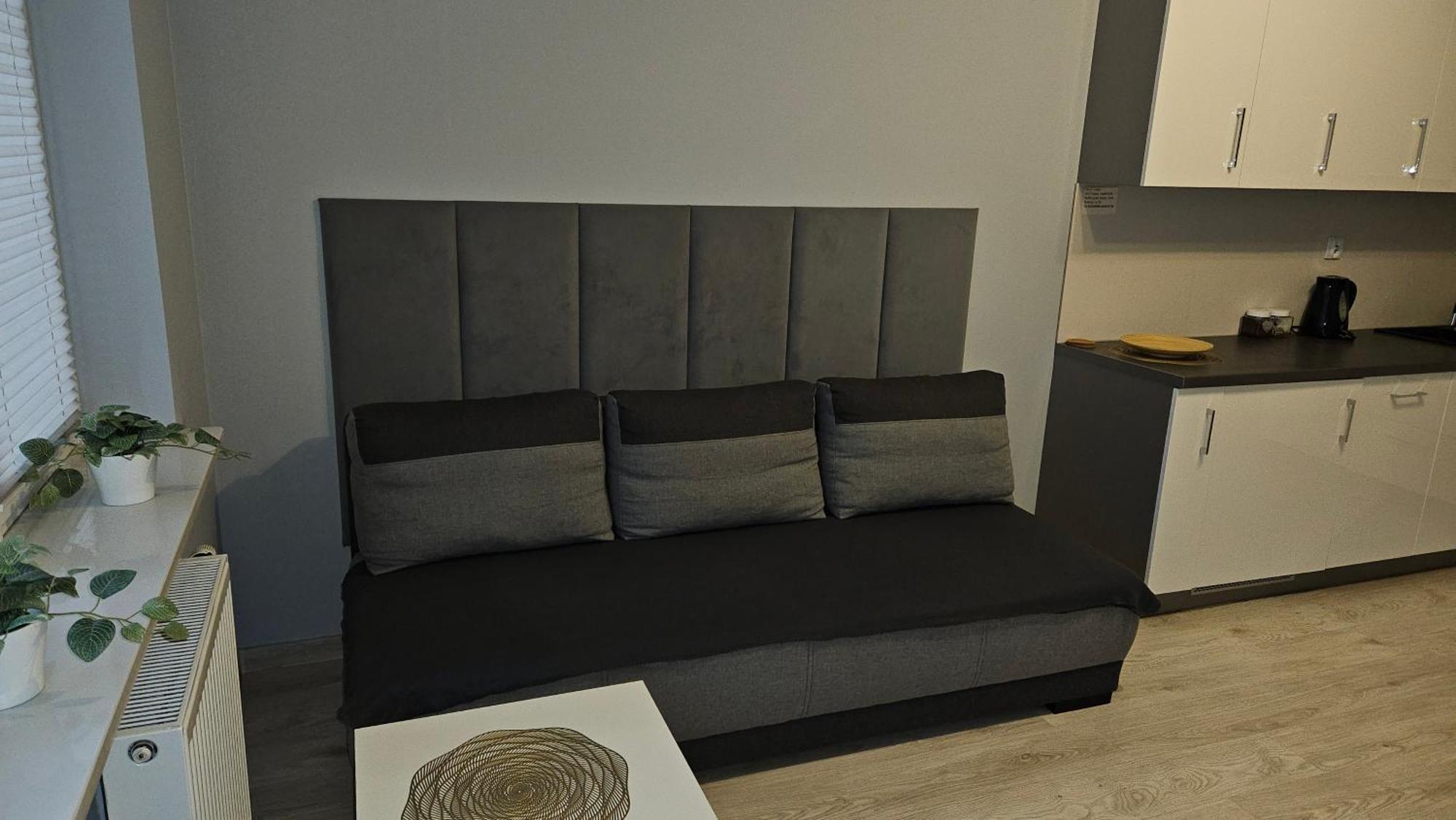 Jedenastka Apartman Płock Kültér fotó
