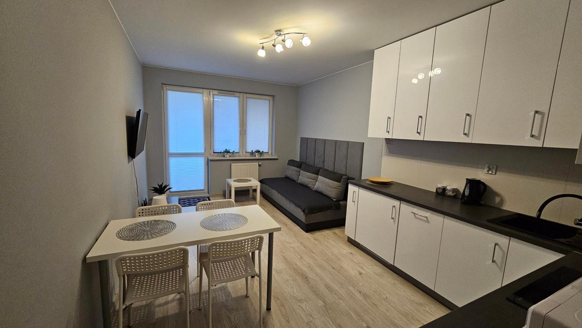 Jedenastka Apartman Płock Kültér fotó